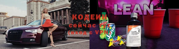 индика Баксан