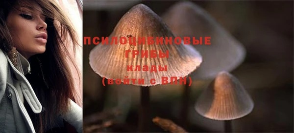 дживик Балабаново