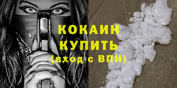 индика Баксан