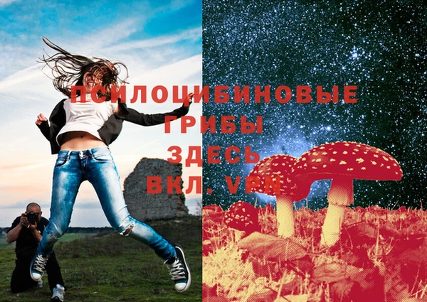 индика Баксан