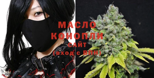 индика Баксан