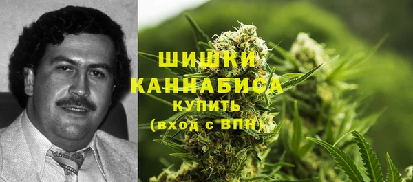 индика Баксан