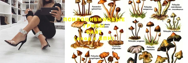 дмт Осинники