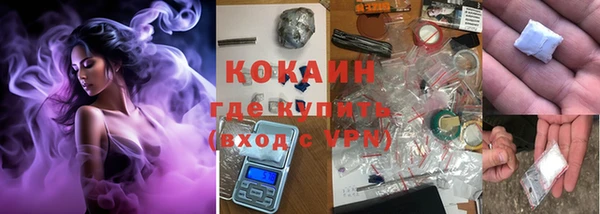 индика Баксан